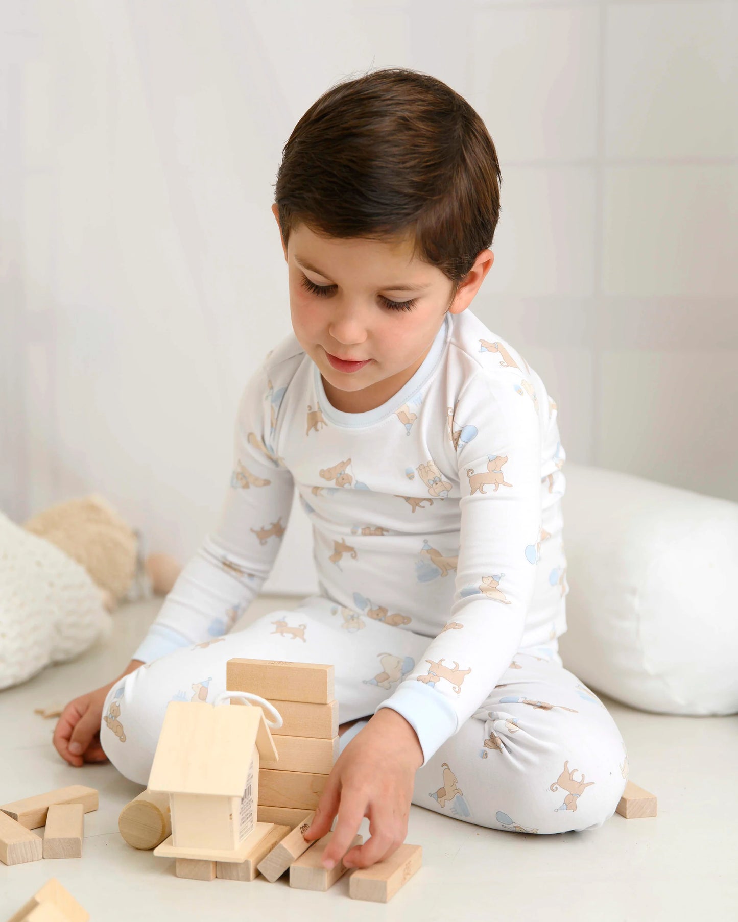 Lyda Baby Boys Birthday Pup 2 piece PJ set